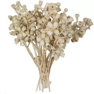 Vickerman 11" Conical Gum Branch- Home Decor
